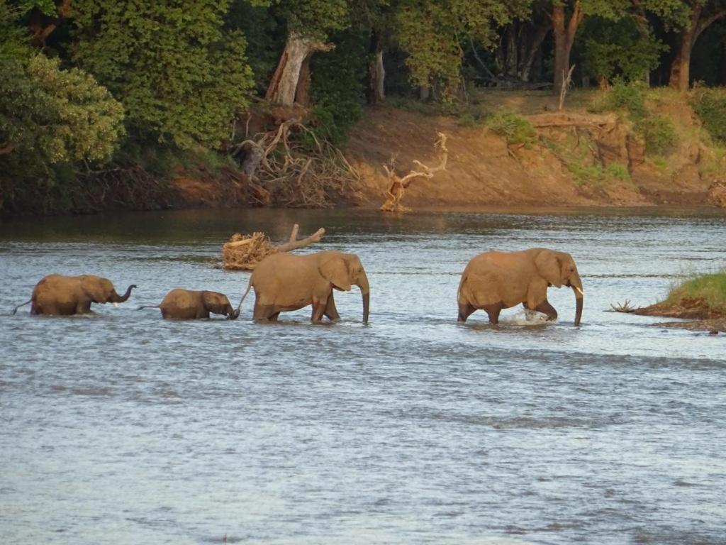 Limpokwena Nature Reserve Tokio Eksteriør billede