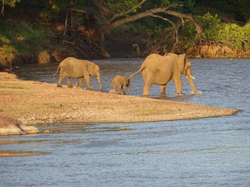 Limpokwena Nature Reserve Tokio Eksteriør billede