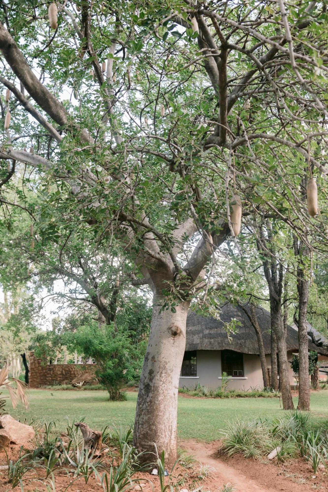 Limpokwena Nature Reserve Tokio Eksteriør billede